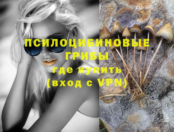 не бодяженный Алексин