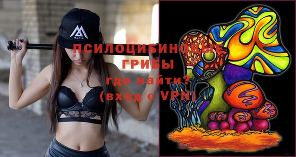 гидропоника Алзамай