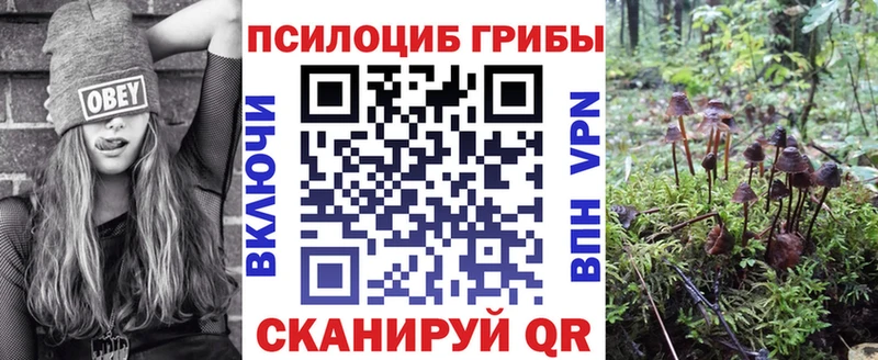 blacksprut рабочий сайт  Слюдянка  Псилоцибиновые грибы мицелий 